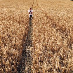 Man on wheat field