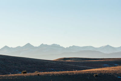 Scenic view of agricultural field against clear sky