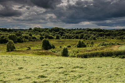 Scenic view of field against cloudy sky