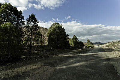 Road by trees against sky