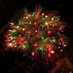 Low angle view of firework display at night