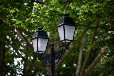 Low angle view of street light against tree