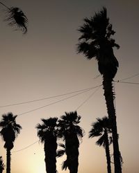 Low angle view of silhouette palm trees against sky during sunset