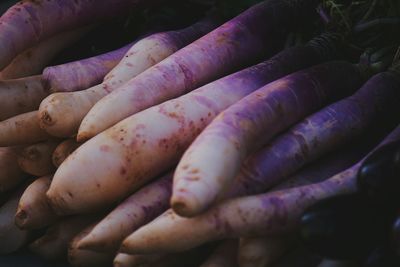 Close-up of carrots