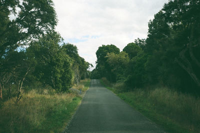 Road passing through forest