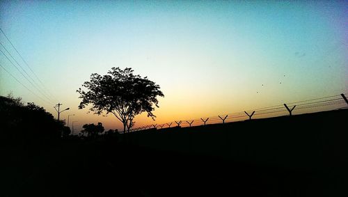 Close-up of silhouette tree against sky during sunset