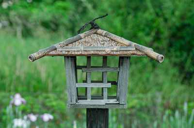 Close-up of bird on wooden post in field