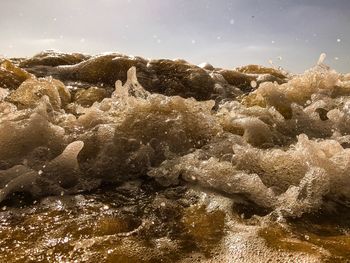 Close-up of leaf against sky