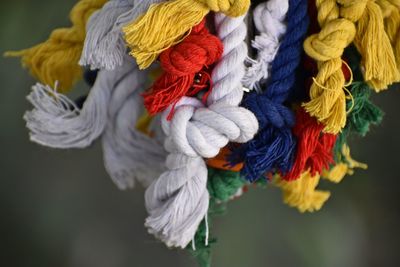 Close-up of multi colored decoration hanging