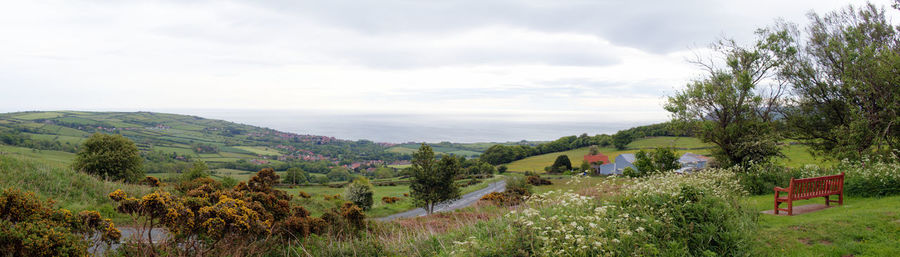 Panoramic view of trees on field against sky