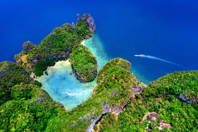 High angle view of trees by sea against blue sky