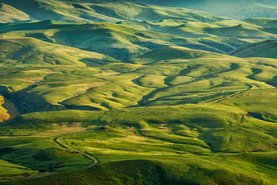 High angle view of agricultural field