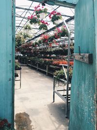 Colorful flower pots growing in plant nursery seen through door