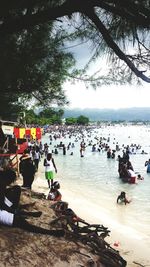 View of trees in water