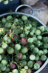 High angle view of tomatoes in basket