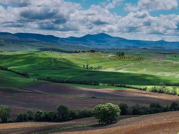 Scenic view of agricultural field against sky