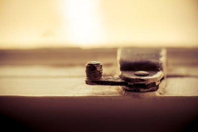 Close-up of object on table