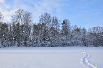 Trees on snow covered field against sky