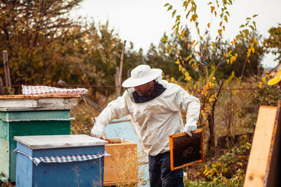 Beekeeper works with bee hives