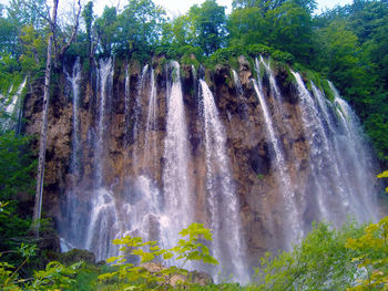 Scenic view of waterfall in forest