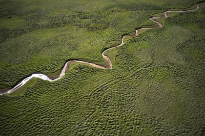 Amazing aerial landscape of flowing stream in green field