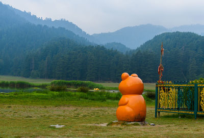 Pumpkins on field against mountain range