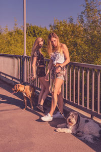 Friends standing amidst dogs on footbridge during sunny day