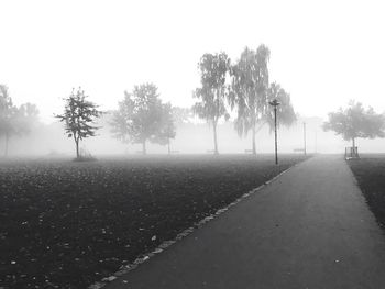 Trees on landscape against sky during foggy weather