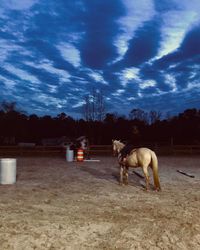 Dog on horse cart against sky