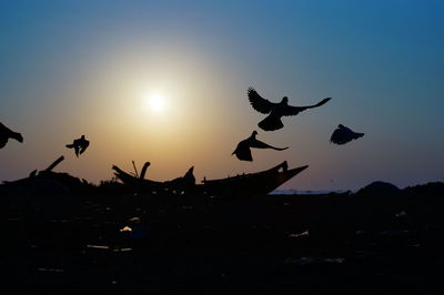 Silhouette birds flying against sky during sunset