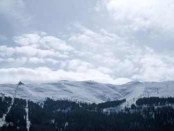 Panoramic shot of trees on countryside landscape