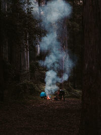 Rear view of people enjoying in forest