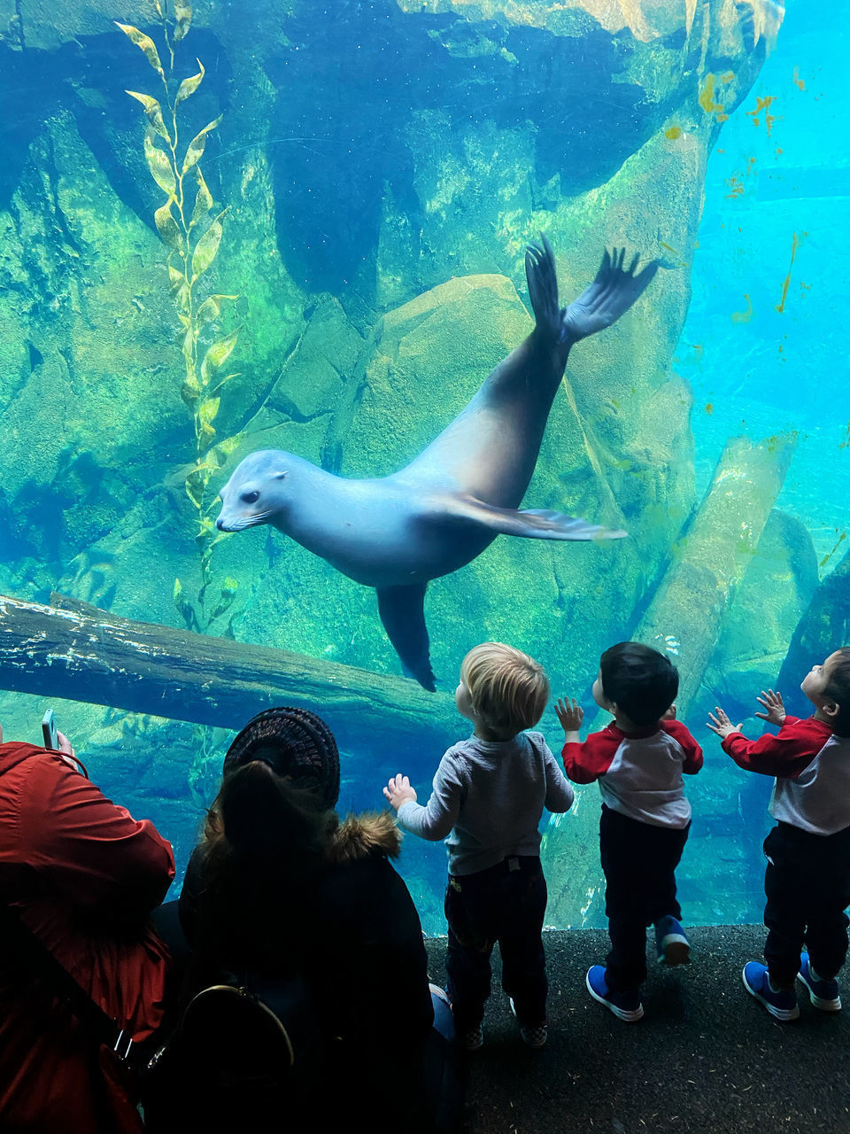 GROUP OF PEOPLE IN AQUARIUM