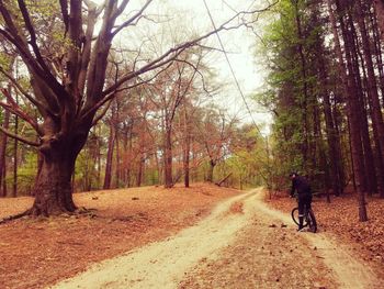 Rear view of man walking on road amidst trees