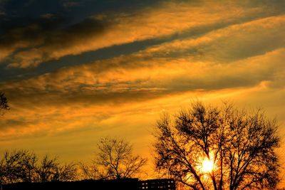 Silhouette trees against dramatic sky during sunset