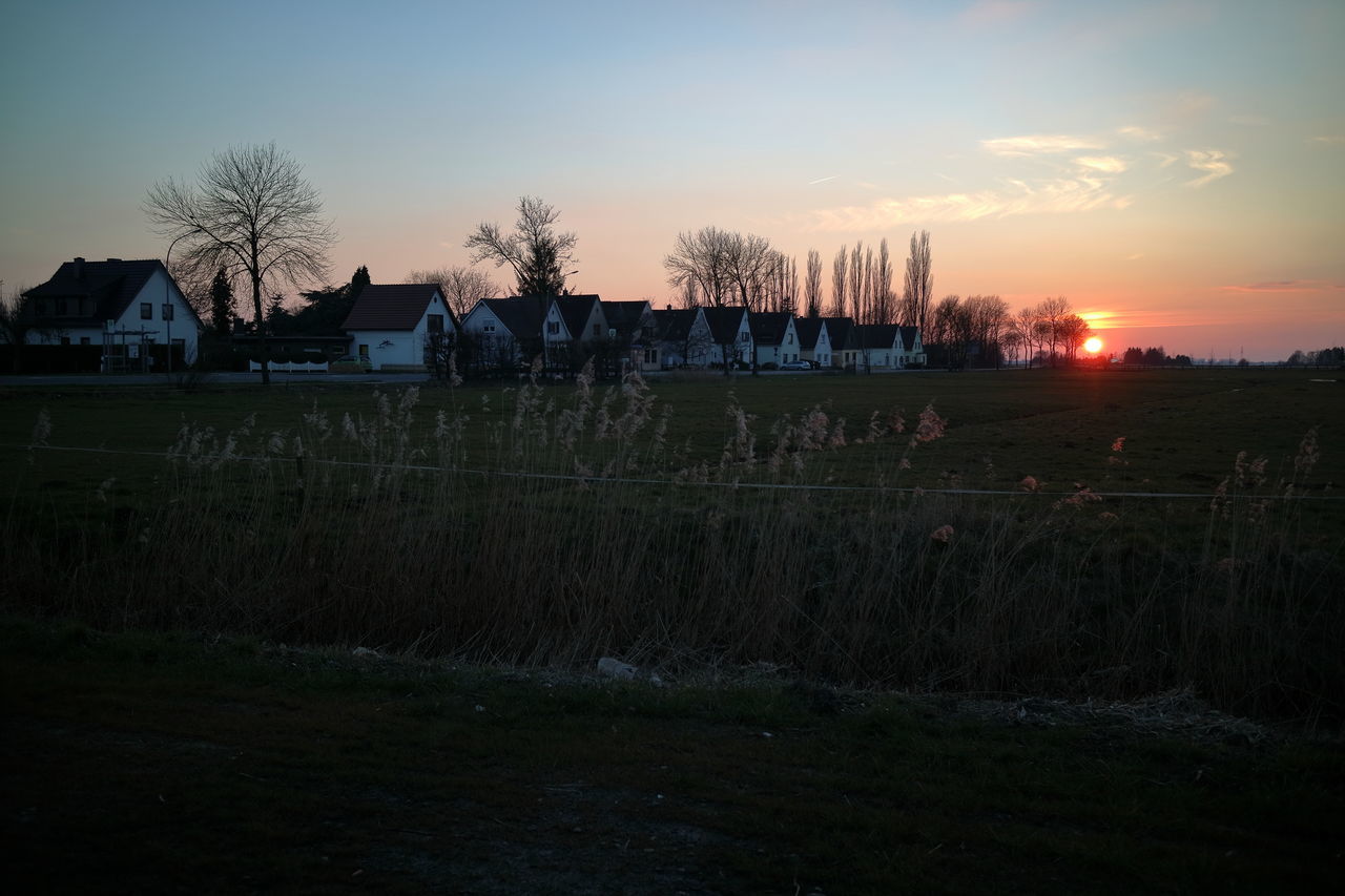 HOUSES ON GRASSY FIELD AGAINST SKY AT SUNSET