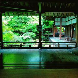 Swimming pool by trees