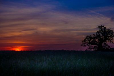 Scenic view of landscape at sunset