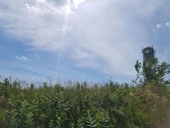 Plants growing on field against sky