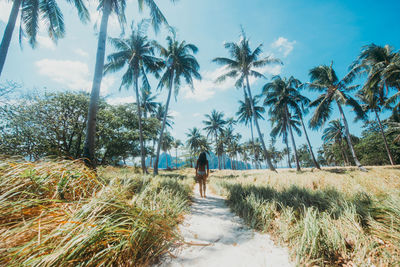 Rear view of woman walking amidst plants