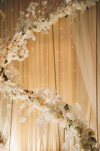 Close-up of white flowers in vase