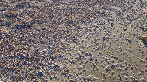 Full frame shot of pebble on beach