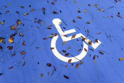 High angle view of fallen leaves on disabled sign