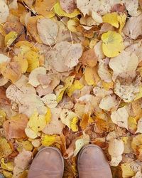 Low section of autumn leaves fallen on ground