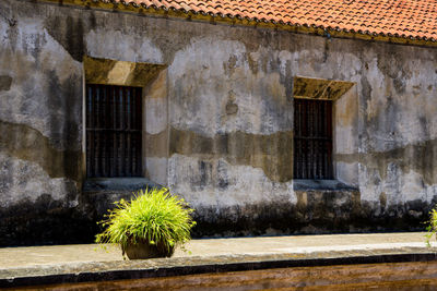 View of house