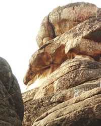 Close-up of elephant against clear sky