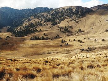 Scenic view of landscape and mountains against sky