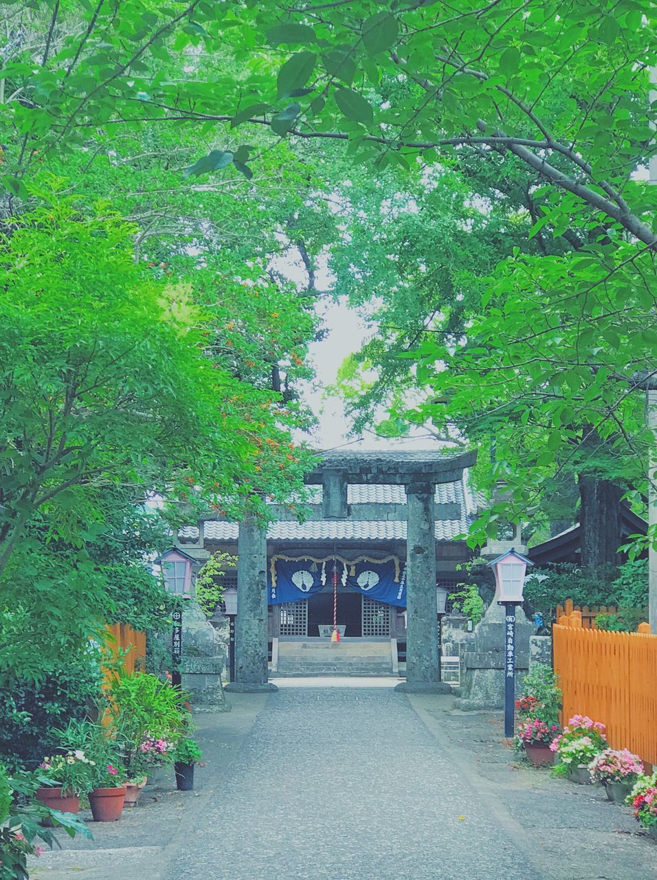 FOOTPATH IN GARDEN