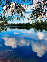 Reflection of trees in lake against blue sky