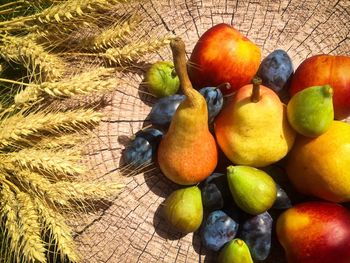 High angle view of fruits on tree stump